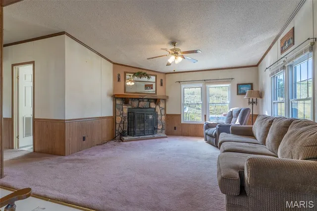 $860,000 | 655 County Road 930, Bunker, MO 63629