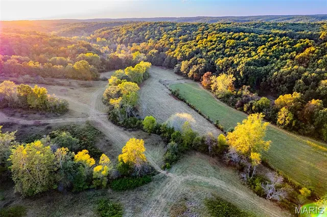 $860,000 | 655 County Road 930, Bunker, MO 63629