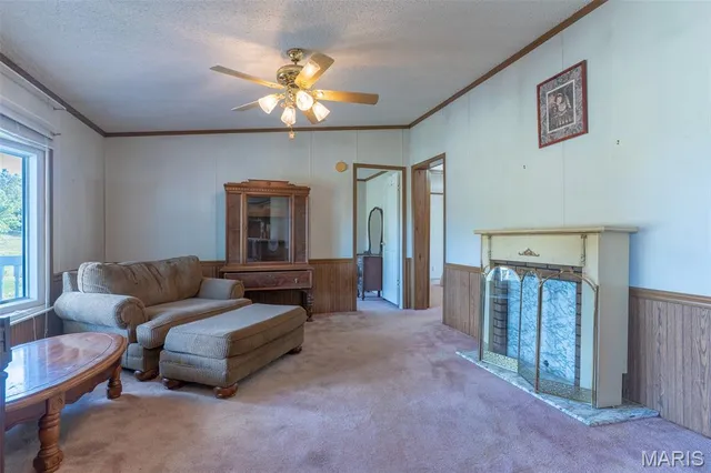 $860,000 | 655 County Road 930, Bunker, MO 63629