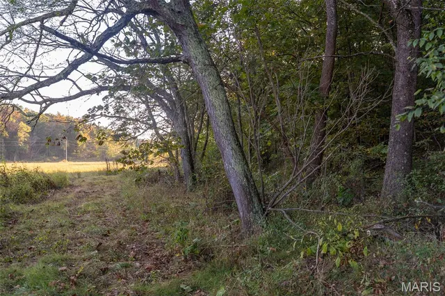 $860,000 | 655 County Road 930, Bunker, MO 63629