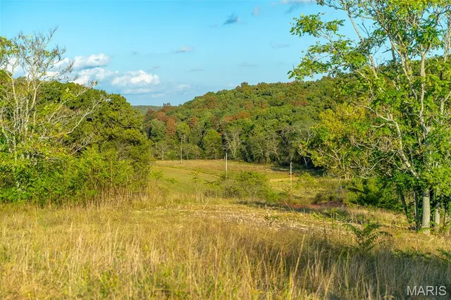 $860,000 | 655 County Road 930, Bunker, MO 63629