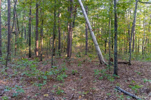 $860,000 | 655 County Road 930, Bunker, MO 63629