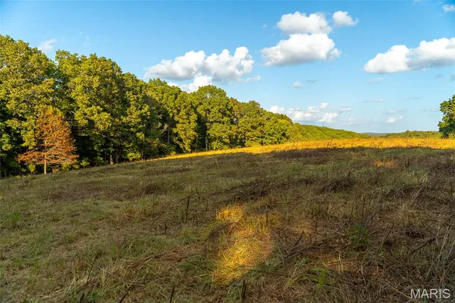 $860,000 | 655 County Road 930, Bunker, MO 63629