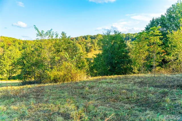 $860,000 | 655 County Road 930, Bunker, MO 63629