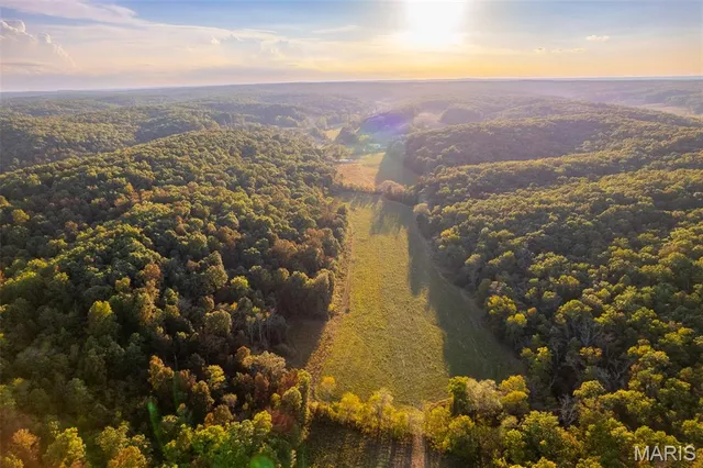 $860,000 | 655 County Road 930, Bunker, MO 63629