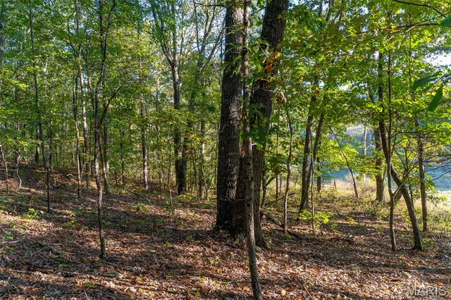 $860,000 | 655 County Road 930, Bunker, MO 63629