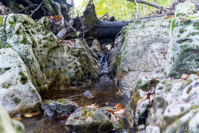 $860,000 | 655 County Road 930, Bunker, MO 63629