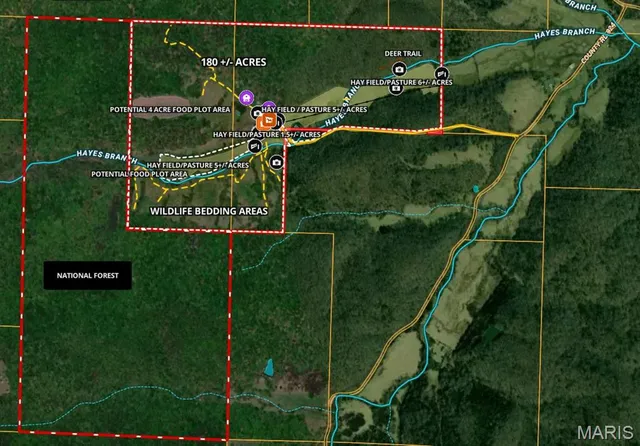 $860,000 | 655 County Road 930, Bunker, MO 63629