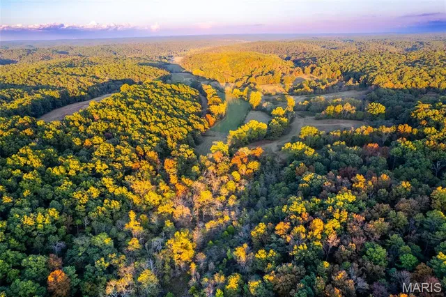 $860,000 | 655 County Road 930, Bunker, MO 63629