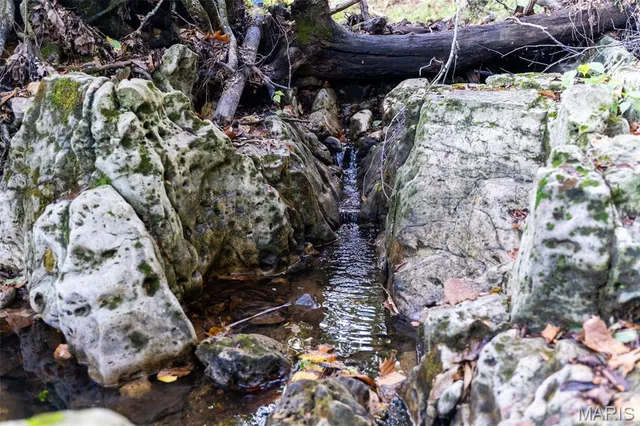 $860,000 | 655 County Road 930, Bunker, MO 63629