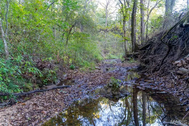 $860,000 | 655 County Road 930, Bunker, MO 63629