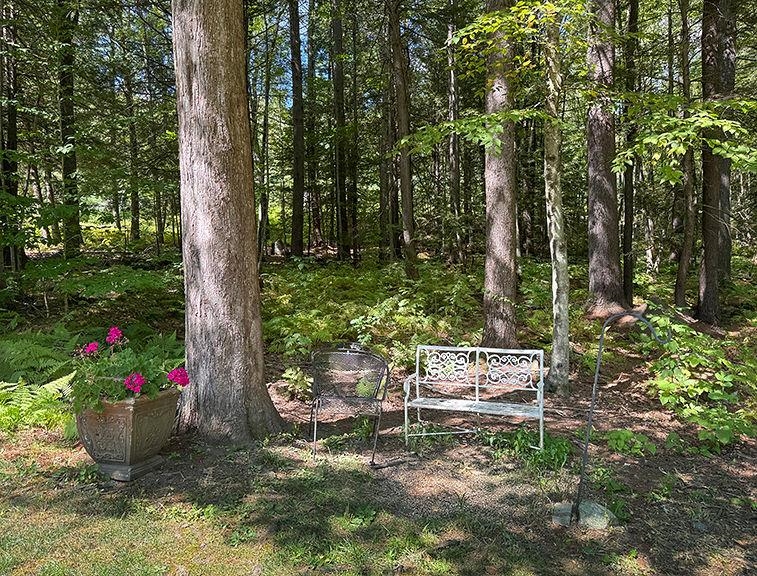 224 Darling Road Keene, NH 03431 - Photo 6 of 37