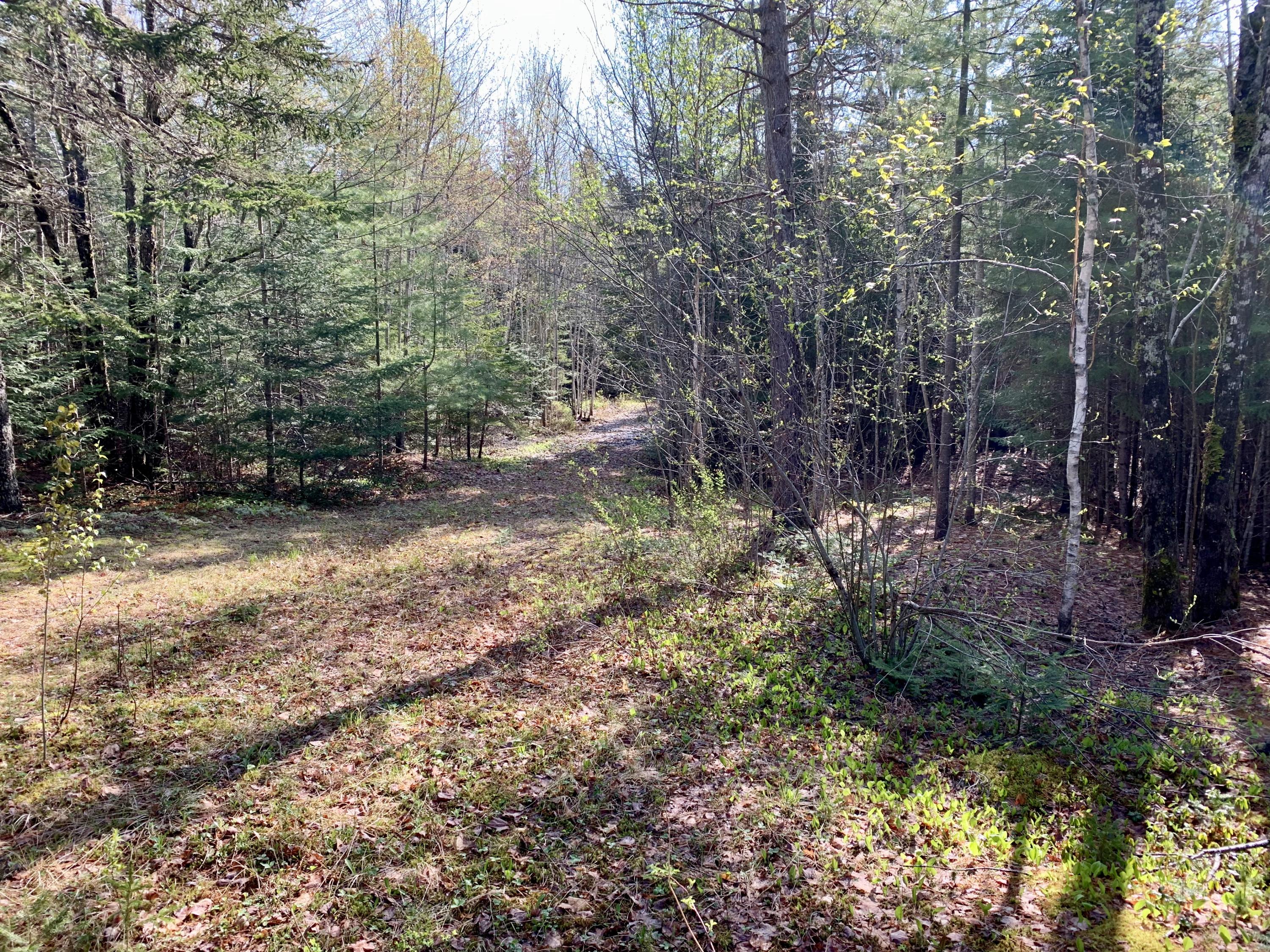 5 F Northfield Road Machias, ME 04654 - Photo 22 of 33 fullsizeoutput_153f