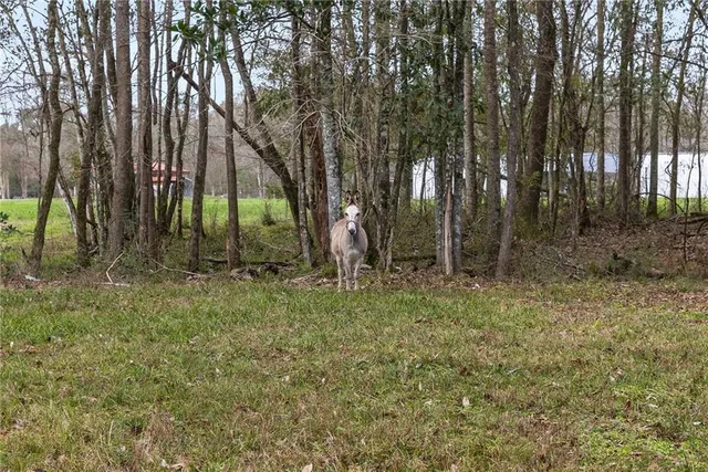 $445,000 | 72636 Highway 1054, Kentwood, LA 70444