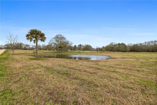 $445,000 | 72636 Highway 1054, Kentwood, LA 70444