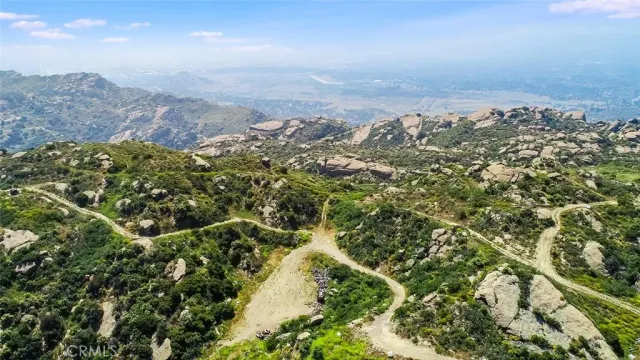 a view of a large yard with lots of bushes