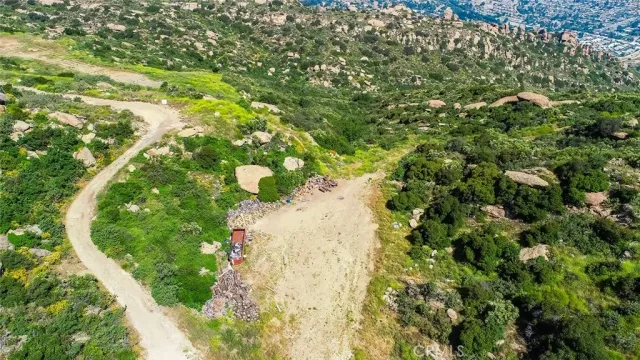 a view of a yard with plants