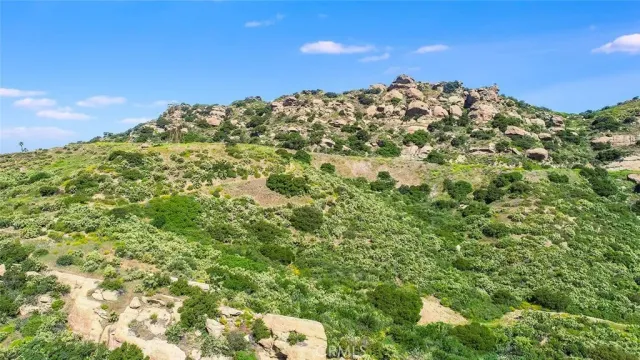 a view of a large yard with lots of plants