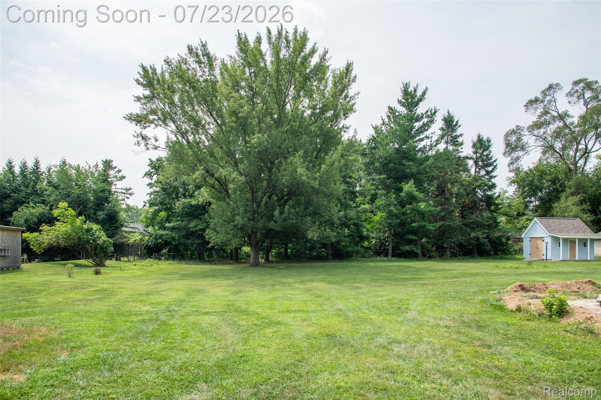 829 Francis Street Rochester, MI 48307 - Photo 22 of 25 Expansive green lawn featuring mature trees and a light blue utility shed with a brown shingle roof