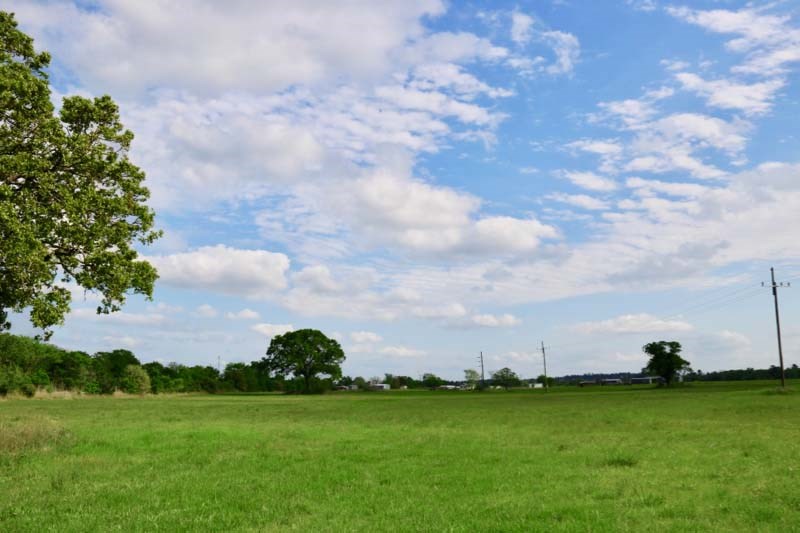 15130 Fm 39 Road Bedias, TX 77831 - Photo 4 of 26