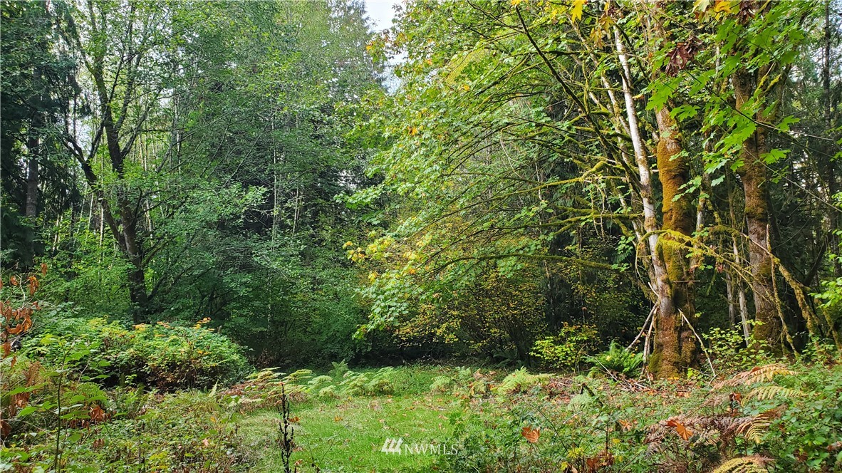 143 Clark Road Onalaska, WA 98570 - Photo 1 of 24 Gallery Image 1