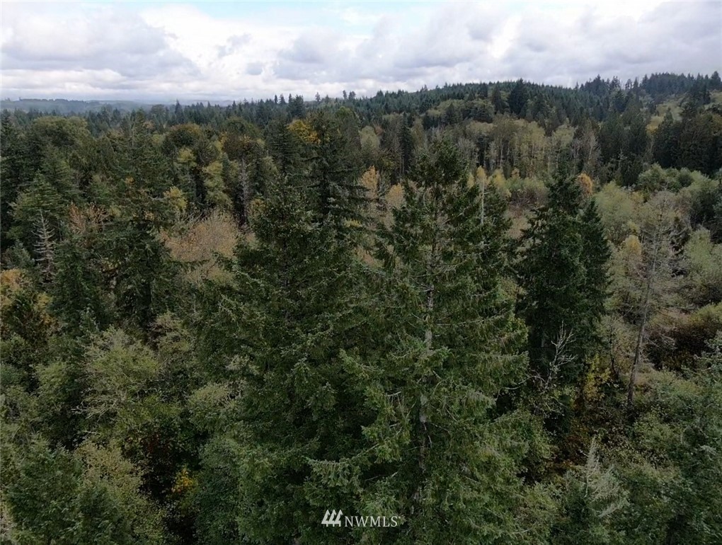 143 Clark Road Onalaska, WA 98570 - Photo 2 of 24 Gallery Image 2