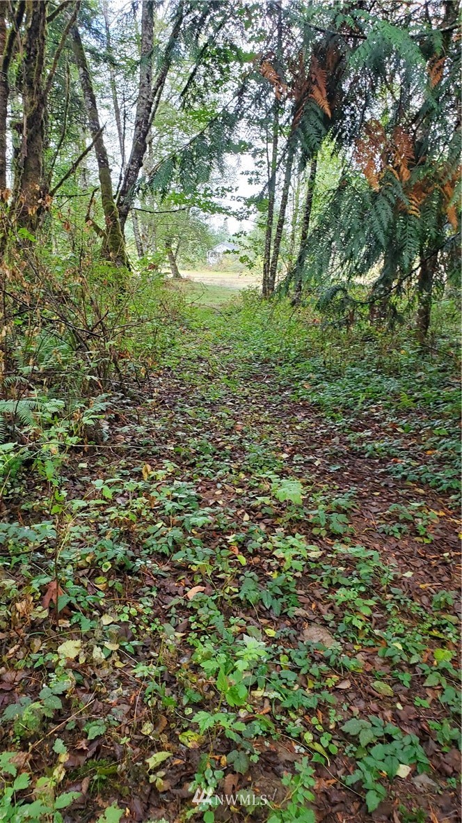 143 Clark Road Onalaska, WA 98570 - Photo 11 of 24 Gallery Image 11