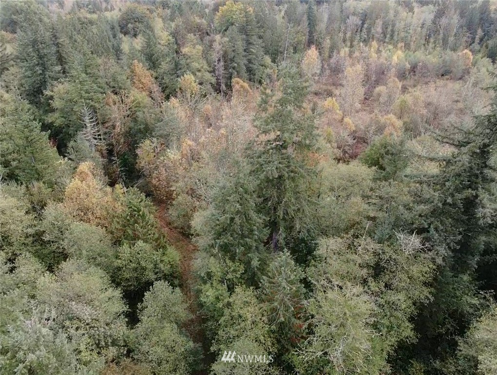 143 Clark Road Onalaska, WA 98570 - Photo 21 of 24 Gallery Image 21