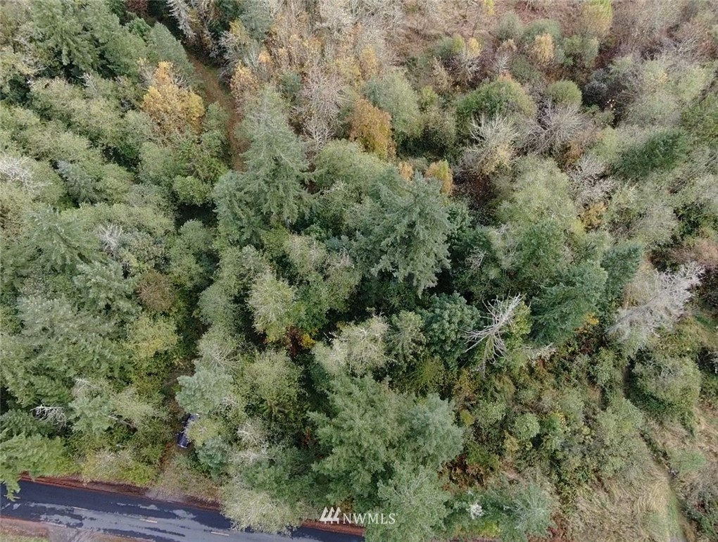 143 Clark Road Onalaska, WA 98570 - Photo 22 of 24 Gallery Image 22