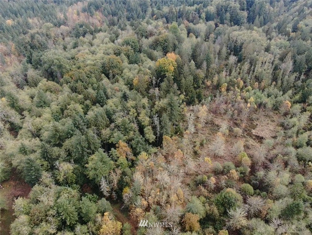 143 Clark Road Onalaska, WA 98570 - Photo 23 of 24 Gallery Image 23