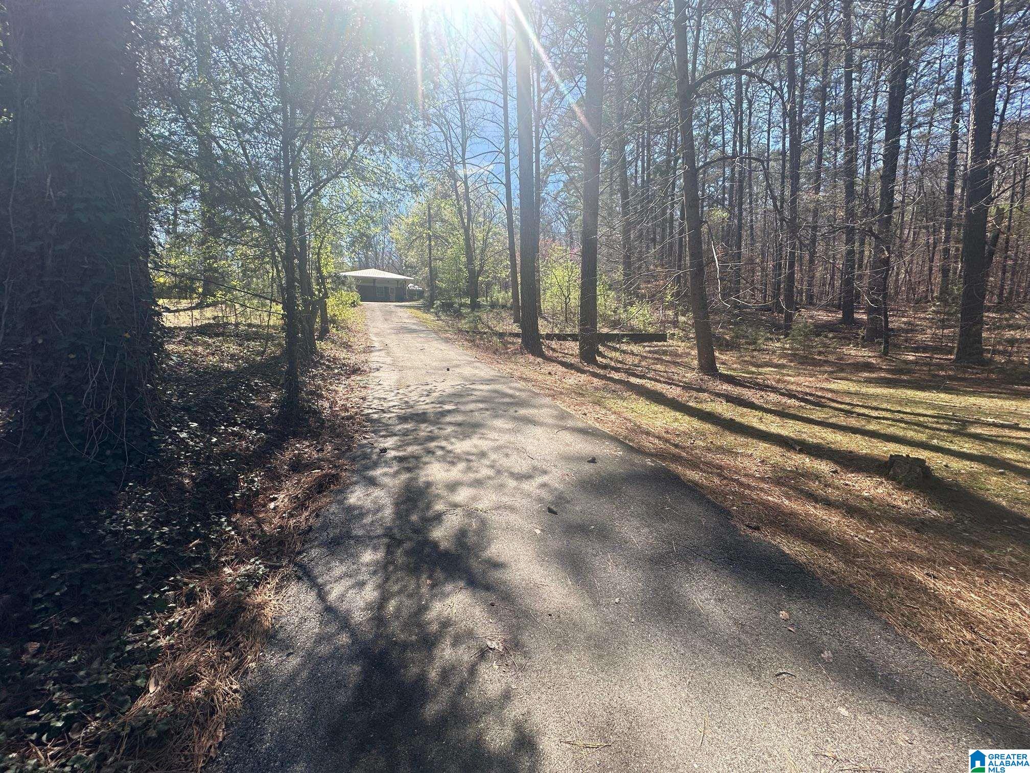 143 Sportsman Lake Road Springville, AL 35146 - Photo 32 of 34