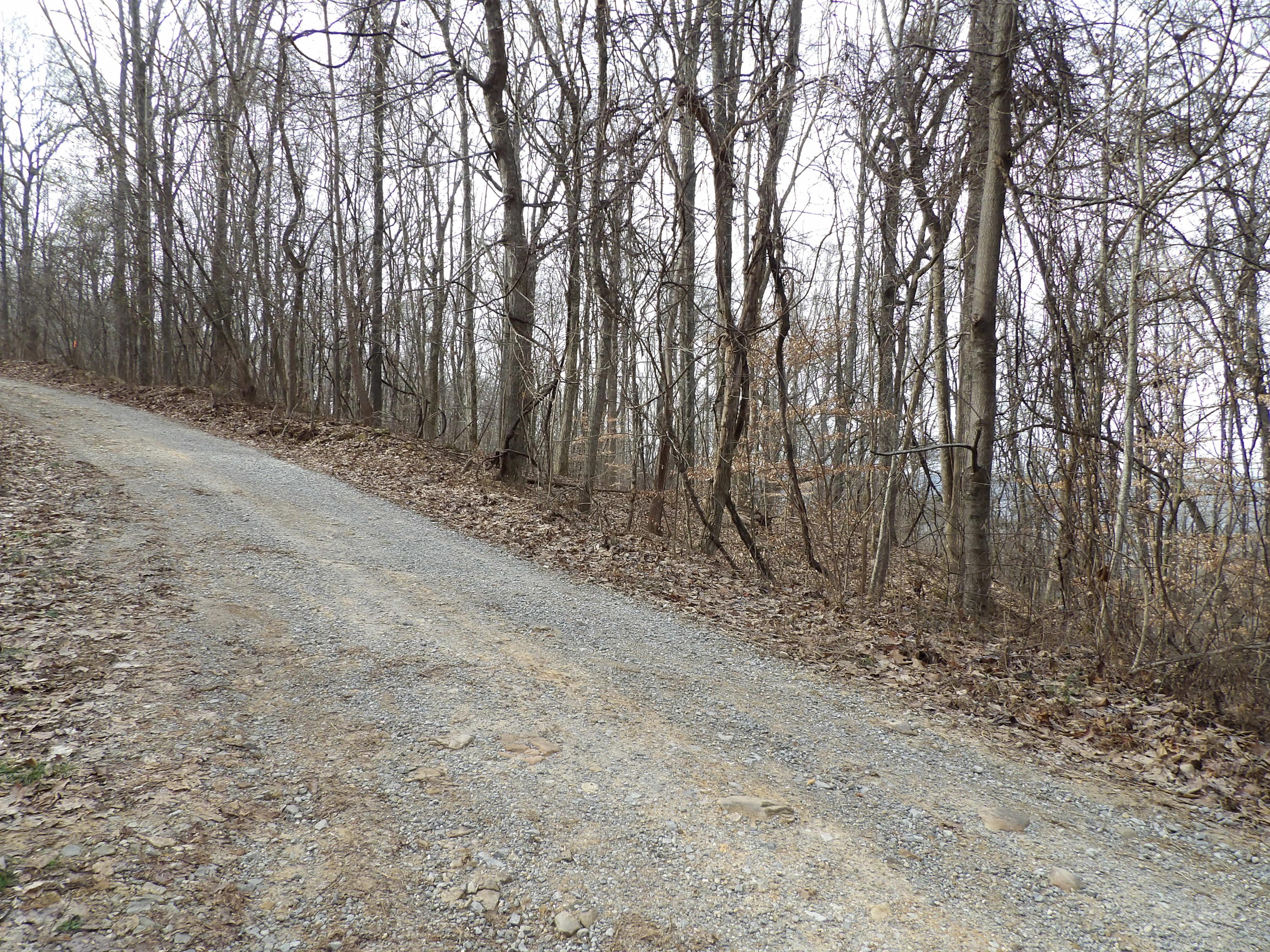 1 Fox Ridge Road, Unit 81 Pikeville, TN 37367 - Photo 3 of 8 100_0495