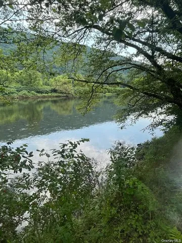 a view of a lake from a yard