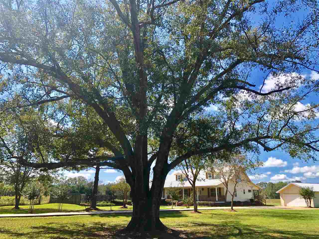 5048 Doc Webb Road Lena, MS 39094 - Photo 2 of 50 Photo 2
