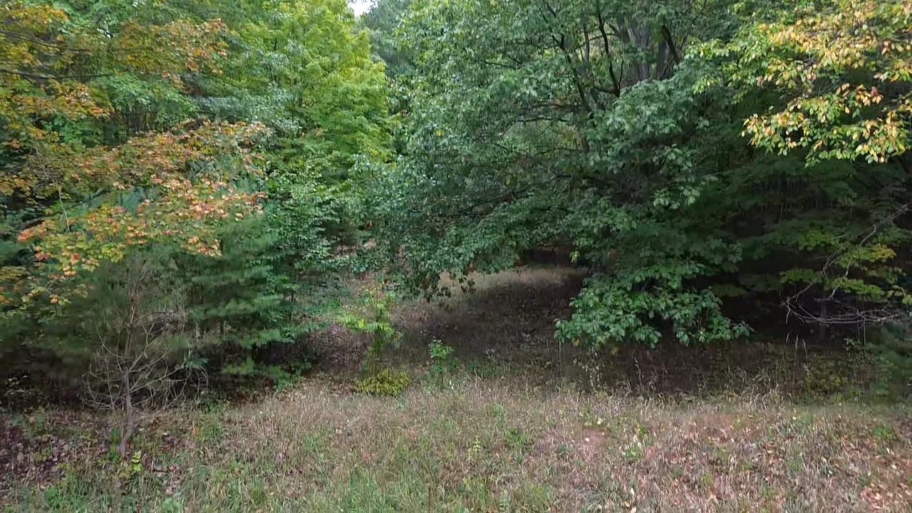 0 South Fritz Road Empire, MI 49630 - Photo 18 of 28