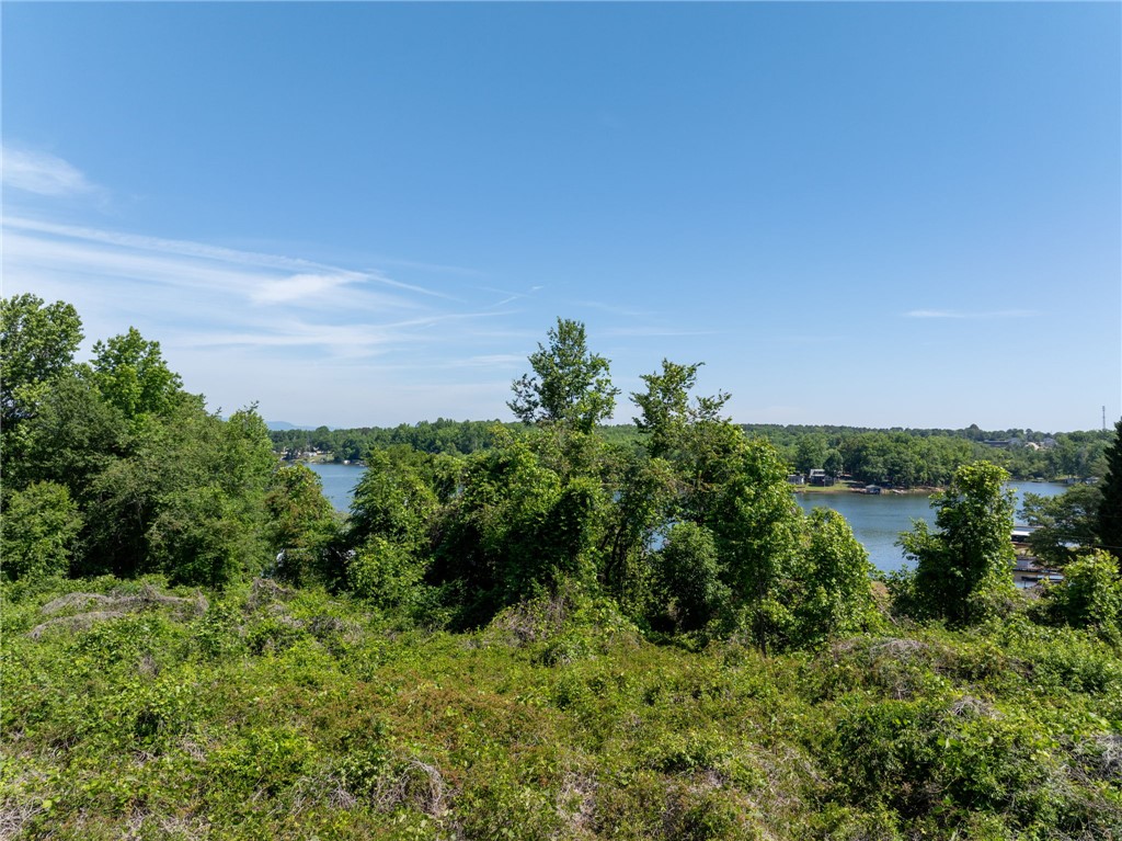 0 Ben Hurt Road Lyman, SC 29365 - Photo 12 of 21 A tranquil lake view unfolds beyond lush foliage and distant tree lines.