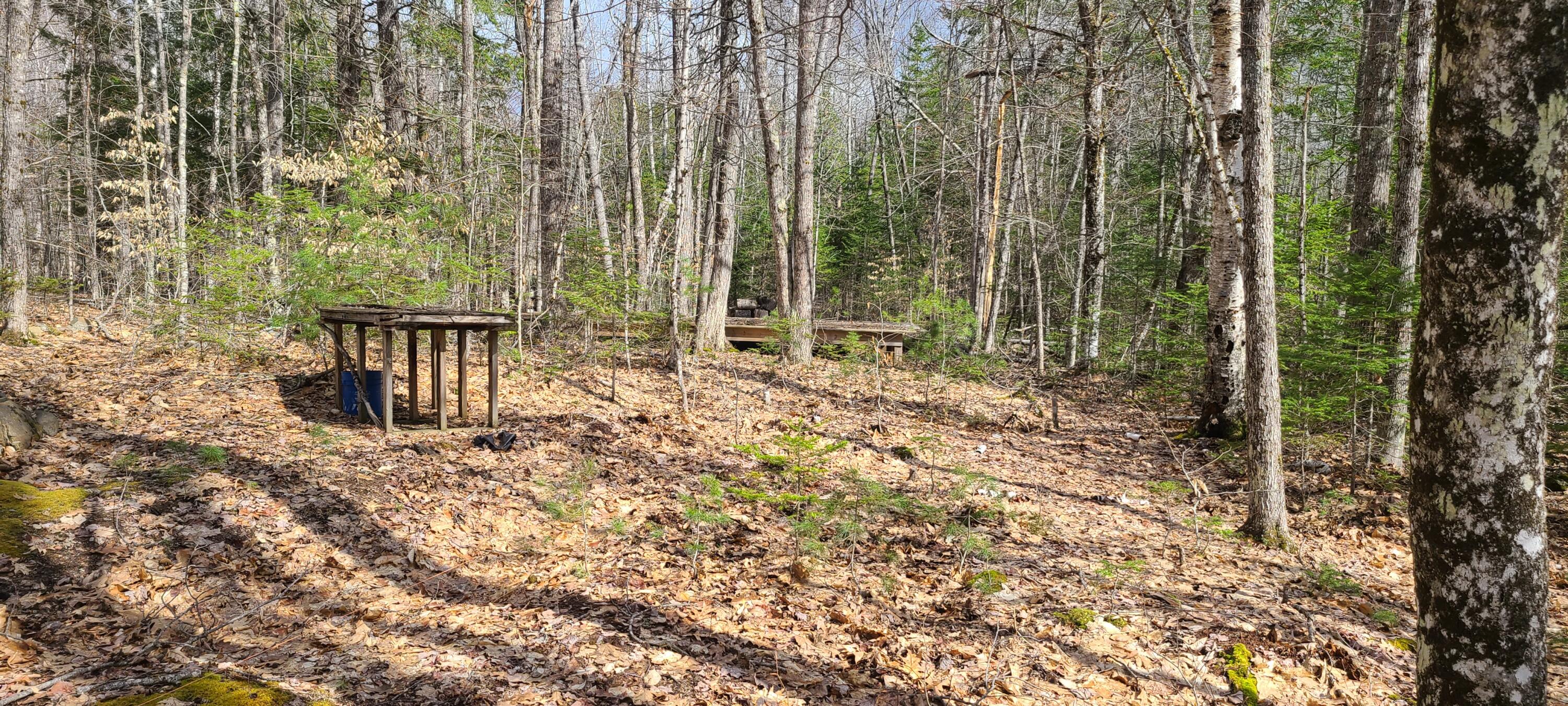 279 Etna Pond Road Carmel, ME 04419 - Photo 5 of 12 20220420_094529
