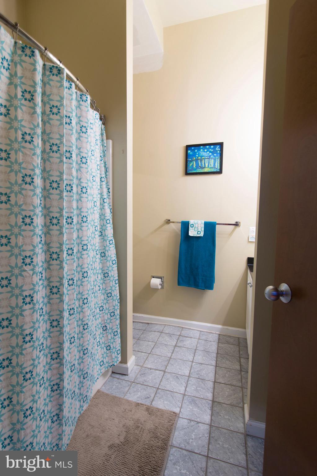 1001-13 Chestnut Street, Unit 705W Philadelphia, PA 19103 - Photo 29 of 30 a bathroom with a shower and a sink