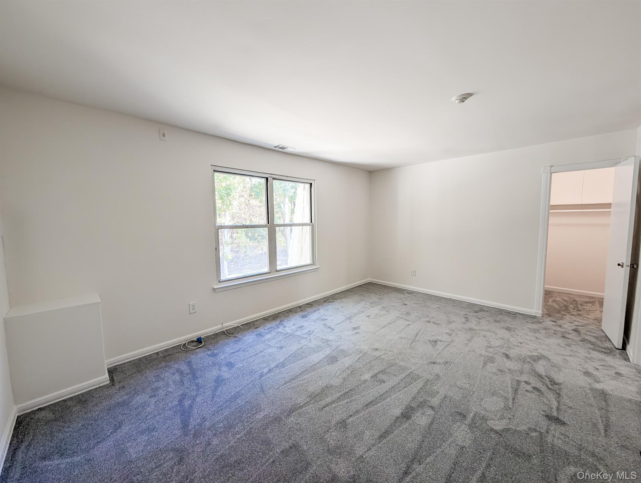 73 Rocky Point Yaphank Road, Unit 106 Rocky Point, NY 11778 - Photo 10 of 12 Unfurnished bedroom featuring a walk in closet and carpet flooring