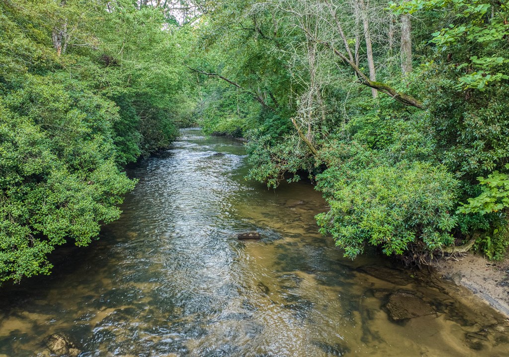 710 Ensley Road Epworth, GA 30541 - Photo 51 of 84 Fightingtown Creek