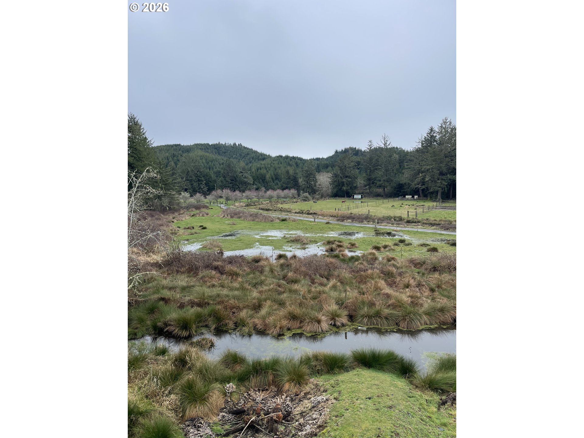 922 Fern Place Reedsport, OR 97467 - Photo 3 of 43