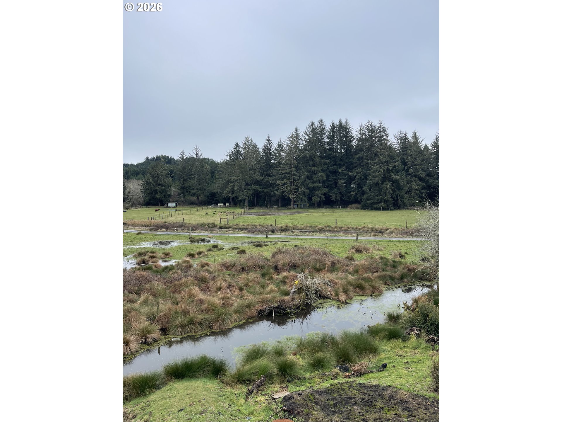 922 Fern Place Reedsport, OR 97467 - Photo 4 of 43