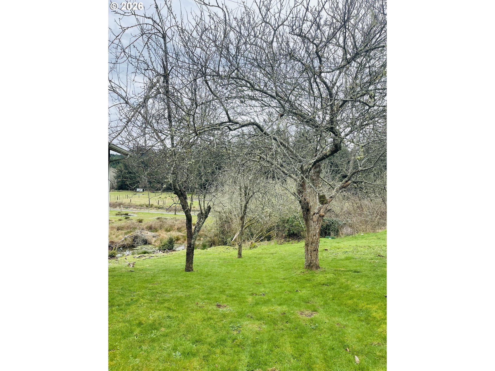 922 Fern Place Reedsport, OR 97467 - Photo 6 of 43