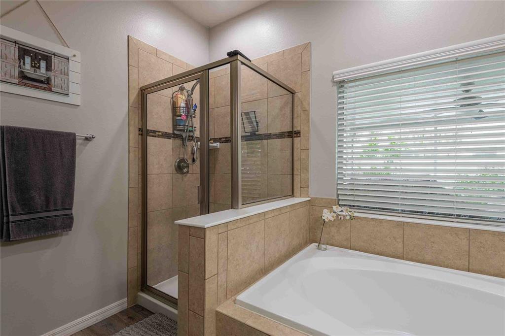 2814 Maple Brook Loop Lutz, FL 33558 - Photo 15 of 38 a bathroom with a bathtub and a shower