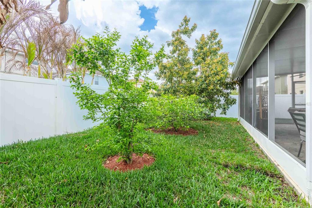 2814 Maple Brook Loop Lutz, FL 33558 - Photo 23 of 38 a view of yard with green space