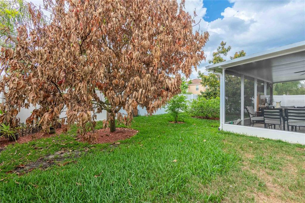 2814 Maple Brook Loop Lutz, FL 33558 - Photo 25 of 38 a garden view with a seating space