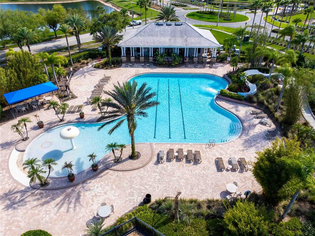 2814 Maple Brook Loop Lutz, FL 33558 - Photo 29 of 38 an outdoor space with pool and furniture