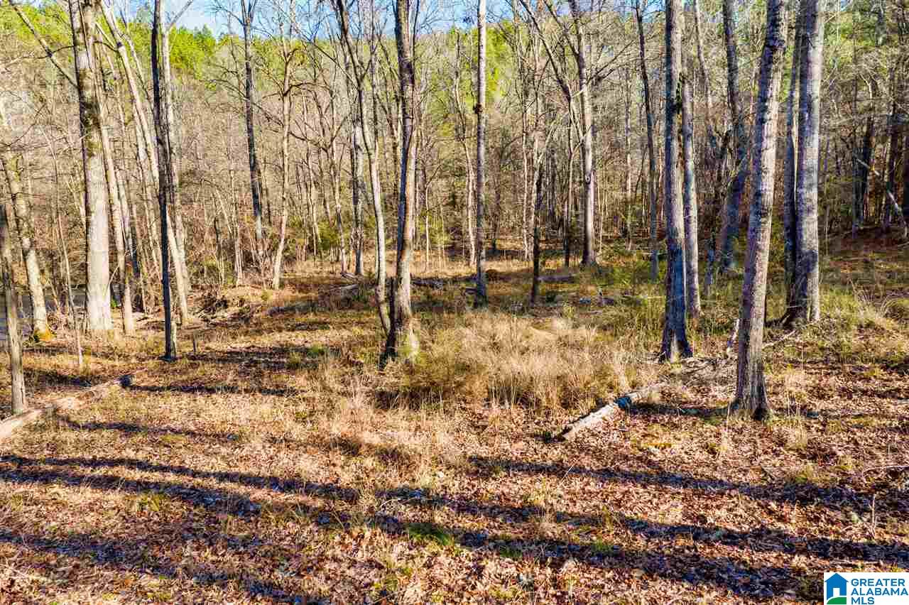 0 County Road 8, Unit 1 Clanton, AL 35045 - Photo 13 of 30