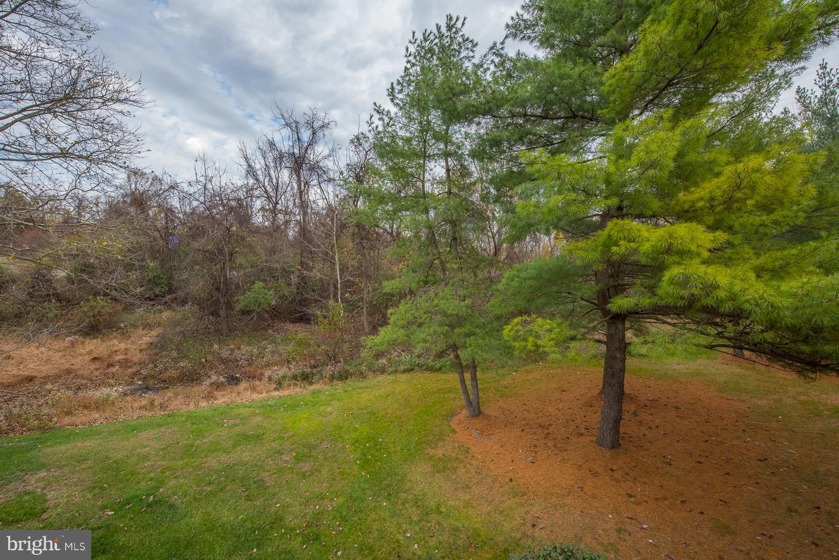 254 Valley Stream Lane Chesterbrook, PA 19087 - Photo 25 of 29