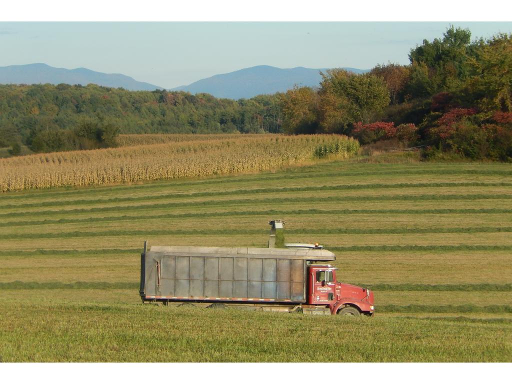 2083 Hortonville Road Mount Holly, VT 05758 - Photo 31 of 33